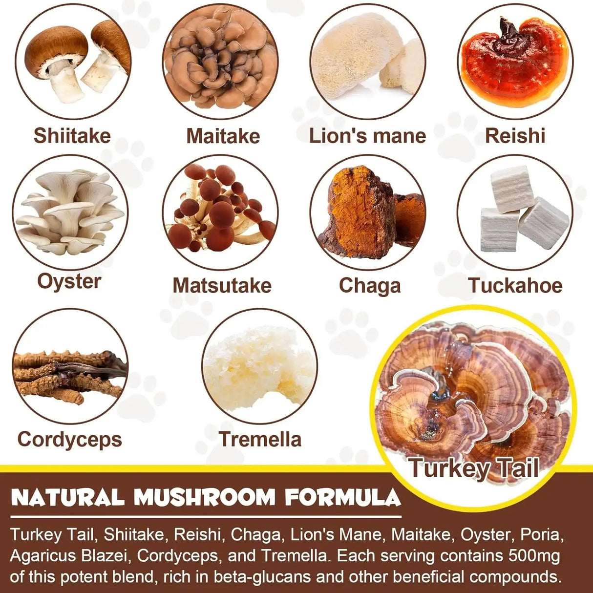 OIMMAL - Oimmal Mushroom Powder for Dogs & Cats 120Gr. - The Red Vitamin MX - Suplementos Herbales Para Perros - {{ shop.shopifyCountryName }}