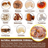 OIMMAL - Oimmal Mushroom Powder for Dogs & Cats 120Gr. - The Red Vitamin MX - Suplementos Herbales Para Perros - {{ shop.shopifyCountryName }}