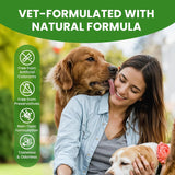 BUDDYCHEER - BuddyCheer Dog Breath Freshener 473Ml. - The Red Vitamin MX - Cuidado Dental Para Perros - {{ shop.shopifyCountryName }}