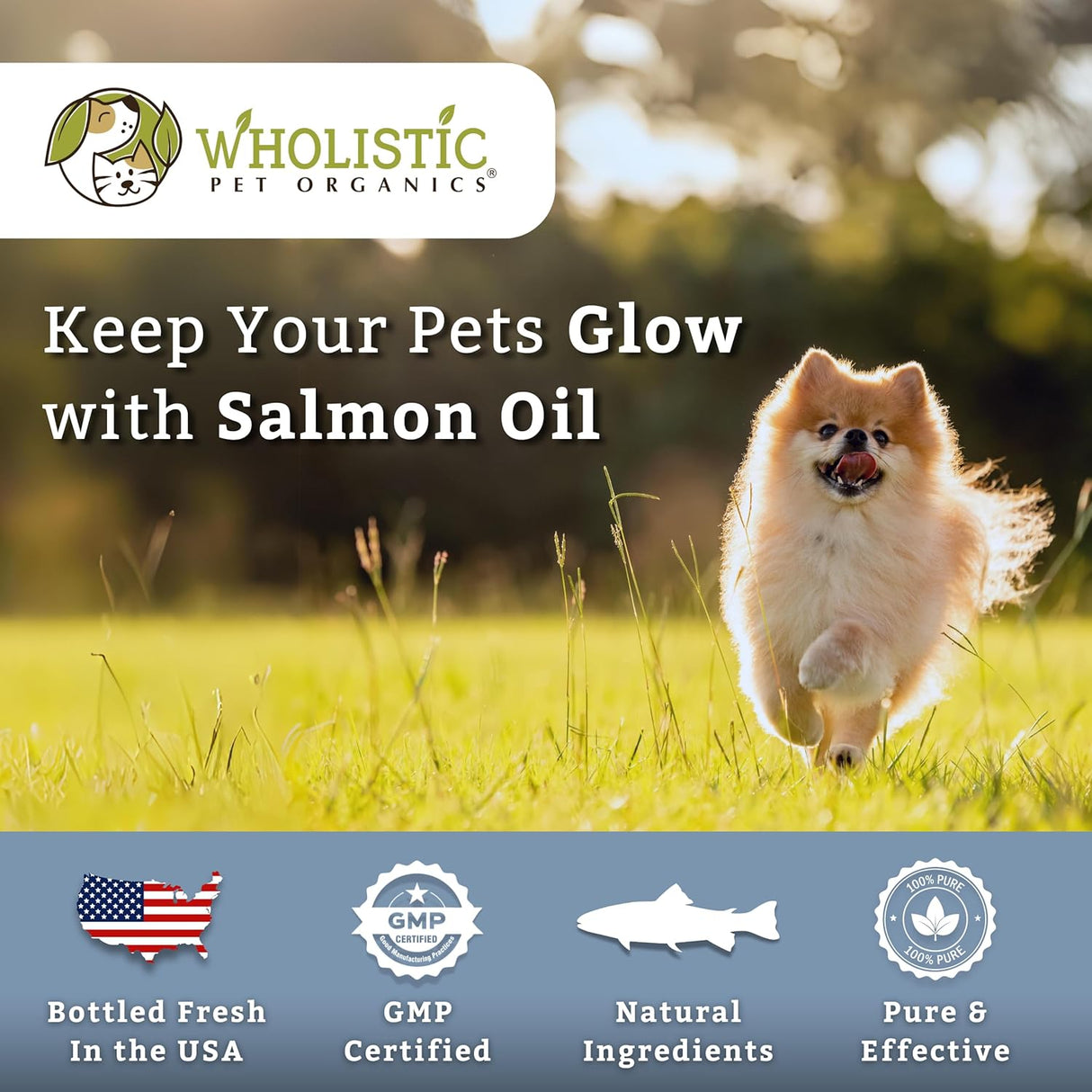 Wholistic Pet Organics Wild Alaskan Salmon Oil for Dogs 100 Capsulas Blandas