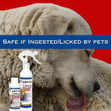 SHOW OUT - Show Out Skin & Wounds Spray for Dogs & Cat 8 Fl.Oz. - The Red Vitamin MX - Remedios Para La Picazón De Perros - {{ shop.shopifyCountryName }}