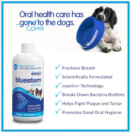 BLUESTEM - Bluestem Pet Water Additive Oral Care: for Dogs & Cats 500Ml. - The Red Vitamin MX - Cuidado Dental Para Perros - {{ shop.shopifyCountryName }}