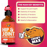 CHEWY MAX - Chewy Max Hip and Joint Supplement 2 Fl.Oz. - The Red Vitamin MX - Cuidado De Cadera Y Articulaciones Para Perros - {{ shop.shopifyCountryName }}