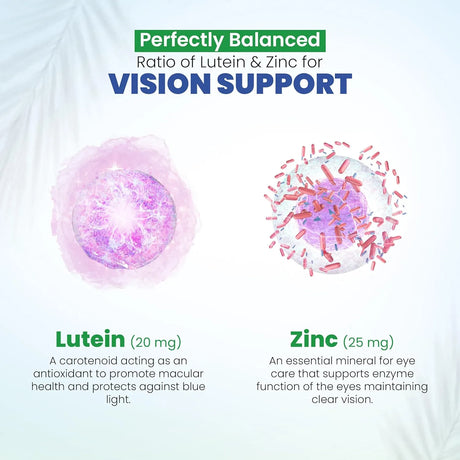 DR VITAMIN SOLUTIONS - DR Vitamin Solutions Vision Support Eye Vitamins for Macular Health 120 Capsulas - The Red Vitamin MX - Suplementos Alimenticios - {{ shop.shopifyCountryName }}