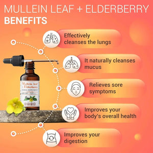 FABLAB - FabLab Mullein Leaf Extract with Elderberry 4 Fl.Oz. - The Red Vitamin MX - Suplementos Alimenticios - {{ shop.shopifyCountryName }}