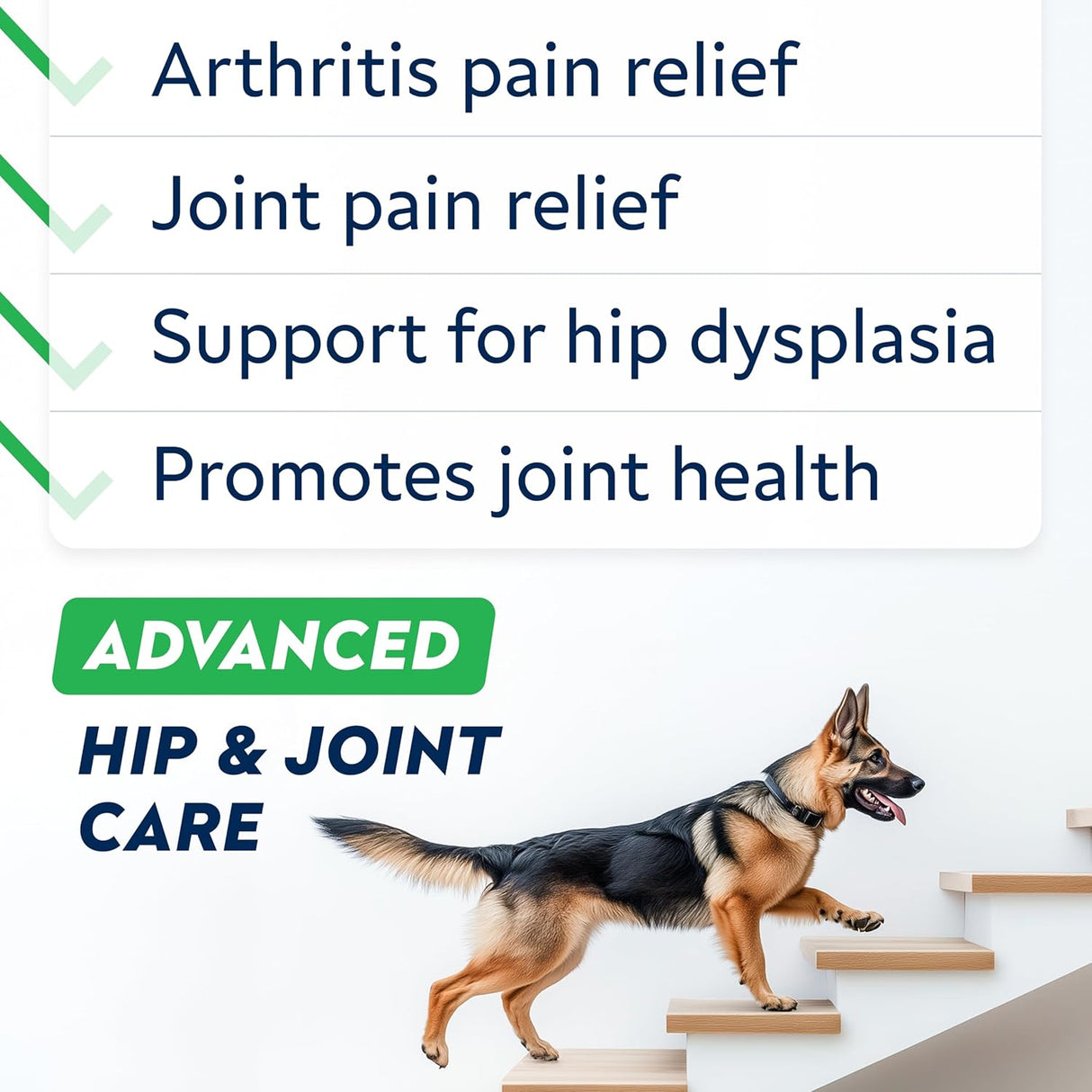 STRELLALAB Advanced Glucosamine Chondroitin Joint for Dogs Large & Senior Bacon Flavor 120 Masticables