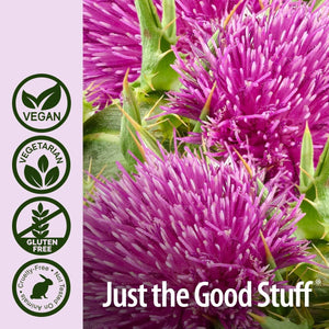NATURE´S ANSWER - Nature's Answer Milk Thistle 120 Capsulas - The Red Vitamin MX - Suplementos Alimenticios - {{ shop.shopifyCountryName }}