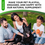 SALUTEMPET - SalutemPet Liquid Probiotics for Dogs Bacon Taste 2 Fl.Oz. - The Red Vitamin MX - Probióticos Para Perros - {{ shop.shopifyCountryName }}