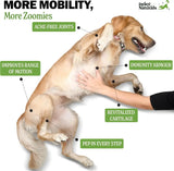 DELEY NATURALS - Deley Naturals Dog Hip and Joint Supplement 120 Masticables - The Red Vitamin MX - Cuidado De Cadera Y Articulaciones Para Perros - {{ shop.shopifyCountryName }}