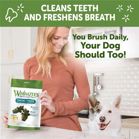 WELLNESS WHIMZEES - Whimzees Wellness Alligator Dog Dental Treats Medium Size 12 Piezas - The Red Vitamin MX - Cuidado Dental Para Perros - {{ shop.shopifyCountryName }}