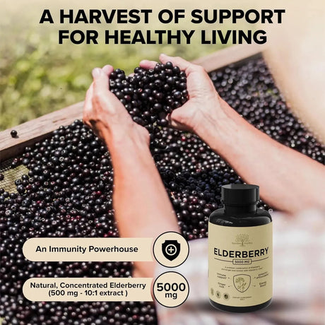 GARDEN OF HERBZ - Garden of Herbz Elderberry with Vitamin C, Zinc & Ginger 60 Capsulas - The Red Vitamin MX - Suplementos Alimenticios - {{ shop.shopifyCountryName }}