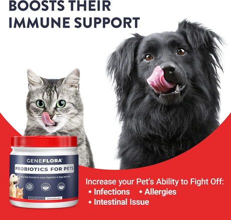 GENEFLORA - Geneflora Digestive Enzymes and Probiotics for Dogs 125Gr. - The Red Vitamin MX - Probióticos Para Perros - {{ shop.shopifyCountryName }}