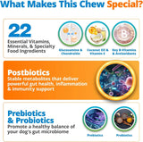 5STRANDS - 5Strands Dog Multivitamin Chews 10-in-1 Vitamins & Postbiotics Peanut Butter 90 Masticables - The Red Vitamin MX - Multivitamínicos Para Perros - {{ shop.shopifyCountryName }}