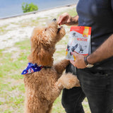 ARK NATURALS - Ark Naturals Joint Rescue Dog Chew Chicken Flavor 9 Oz. - The Red Vitamin MX - Cuidado De Cadera Y Articulaciones Para Perros - {{ shop.shopifyCountryName }}