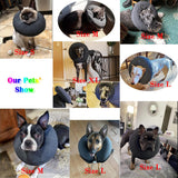 Katoggy Inflatable Dog Collar DARK GREY LARGE