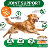Petsology Glucosamine for Dogs Hip and Joint Supplement 170 Masticables