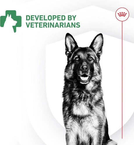 ROYAL CANIN - Royal Canin Probiotics for Dogs 30 Paquetes - The Red Vitamin MX - Probióticos Para Perros - {{ shop.shopifyCountryName }}