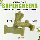 BULIBONE - Bullibone SuperBrush: Dog Teeth Cleaning Brushing Toothbrush Stick Super Greens 3 Pack - The Red Vitamin MX - Cuidado Dental Para Perros - {{ shop.shopifyCountryName }}