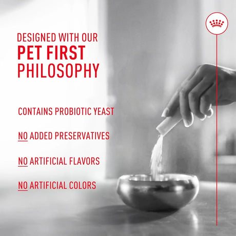 ROYAL CANIN - Royal Canin Probiotics for Dogs 30 Paquetes - The Red Vitamin MX - Probióticos Para Perros - {{ shop.shopifyCountryName }}