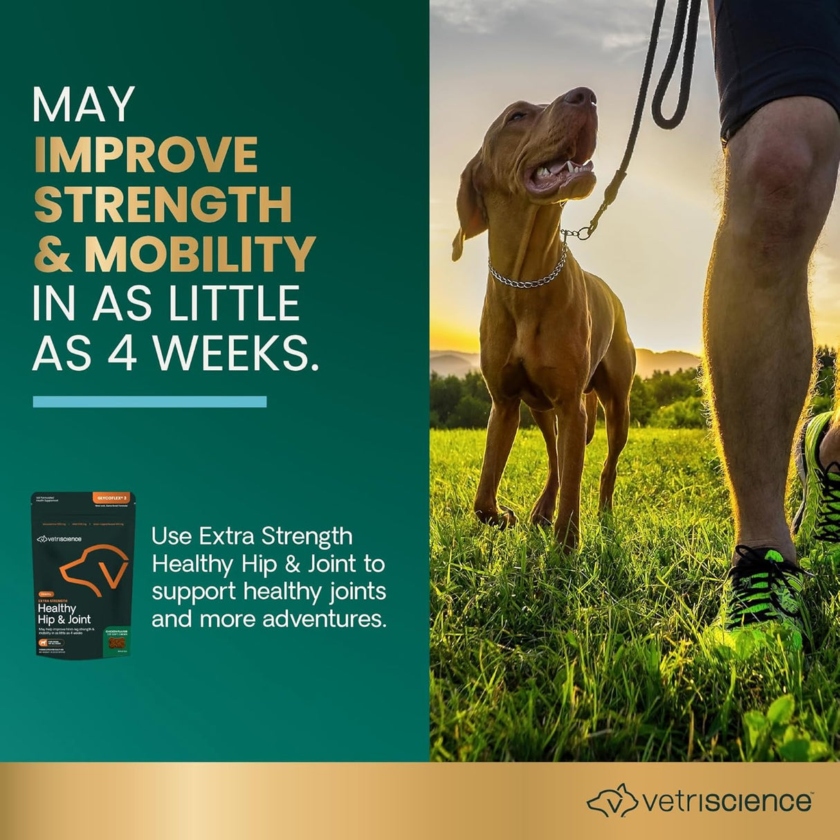 VetriScience Extra Strength Healthy Hip & Joint Chews 120 Masticables