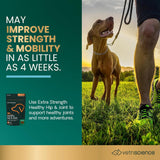 VetriScience Extra Strength Healthy Hip & Joint Chews 120 Masticables