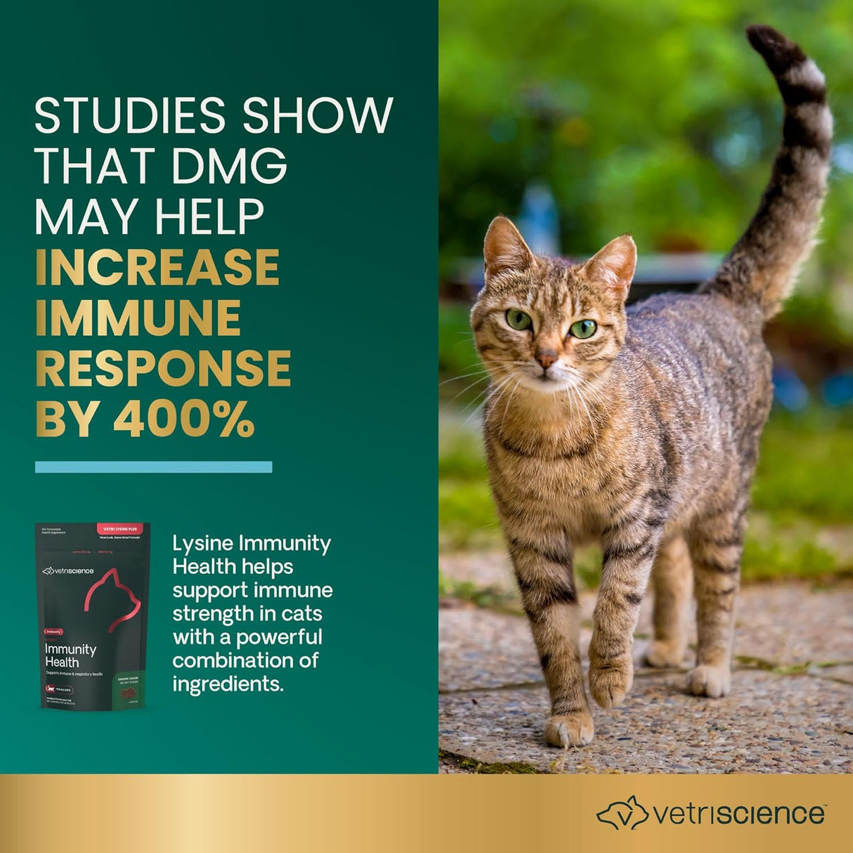 VetriScience Lysine Immunity Health Chews for Cats Chicken 90 Masticables
