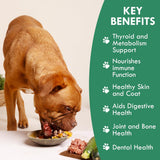 HOLISTIC BIN - Holistic Bin Canine Atlantic Sea Kelp for Dogs 50Gr. - The Red Vitamin MX - Suplementos Herbales Para Perros - {{ shop.shopifyCountryName }}