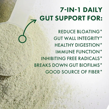 BIOHM - BIOHM Digestive Greens Powder 30 Servicios Berry Flavor 210Gr. - The Red Vitamin MX - Suplementos Alimenticios - {{ shop.shopifyCountryName }}