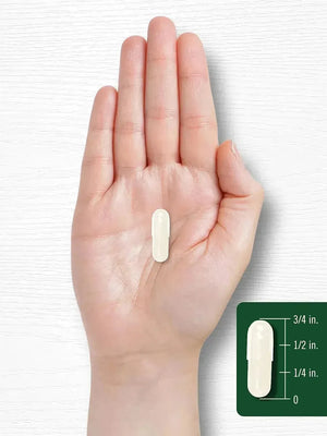 CARLYLE - Carlyle Grapefruit Seed Extract 500Mg. 120 Capsulas - The Red Vitamin MX - Suplementos Alimenticios - {{ shop.shopifyCountryName }}
