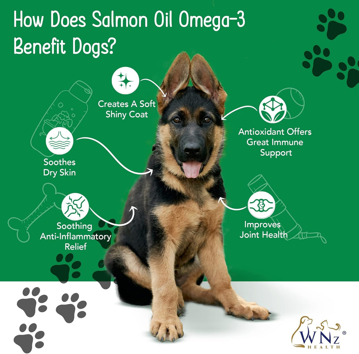 WNz Health Omega 3 Skin and Coat Chews for Dogs 55 Masticables