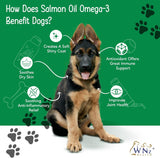 WNz Health Omega 3 Skin and Coat Chews for Dogs 55 Masticables
