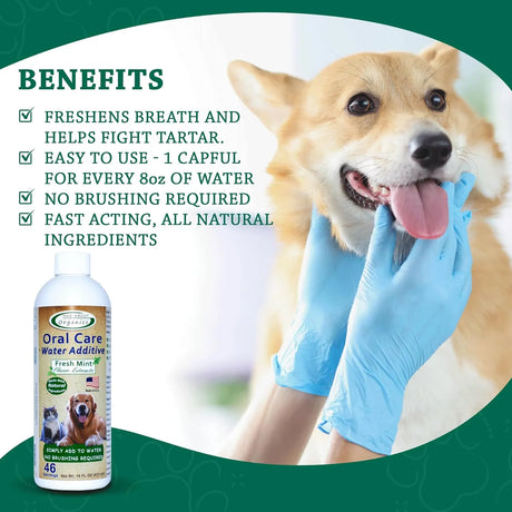MAD ABOUT ORGANICS - Mad About Organics Oral Care Water Additive for Cats & Dogs Fresh Mint Flavor 473Ml. - The Red Vitamin MX - Cuidado Dental Para Perros - {{ shop.shopifyCountryName }}