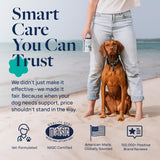 Veterinary Formula Anal Gland Support for Dogs 60 Masticables