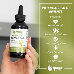 MAXX HERB - Maxx Herb Olive Leaf Extract 4 Fl.Oz. - The Red Vitamin MX - Suplementos Alimenticios - {{ shop.shopifyCountryName }}