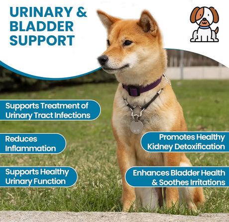 REPLENISH - Replenish Urinary Tract Chews for Dogs 60 Masticables - The Red Vitamin MX - Salud De Tracto Urinario Para Perros - {{ shop.shopifyCountryName }}