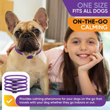 TOPSUN - TopSum Calming Collar for Dogs: Pheromone-Infused 4 Pack - The Red Vitamin MX - Relajantes Para Perros - {{ shop.shopifyCountryName }}