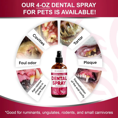 LEACADEMIC - LeAcademic Dog Breath Freshener 118Ml. - The Red Vitamin MX - Cuidado Dental Para Perros - {{ shop.shopifyCountryName }}