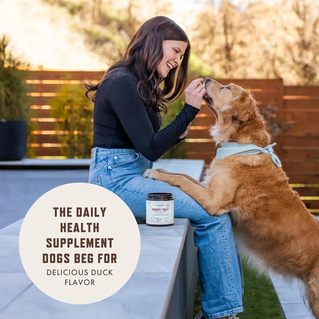 ROCCO AND ROXIE - Rocco and Roxie Dog UTI Treatment 90 Masticables - The Red Vitamin MX - Salud De Tracto Urinario Para Perros - {{ shop.shopifyCountryName }}