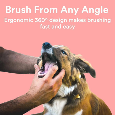 JASPER - Jasper Dog Toothbrush Blue 10 Pack - The Red Vitamin MX - Cuidado Dental Para Perros - {{ shop.shopifyCountryName }}