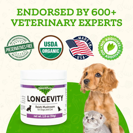 ANIMAL ESSENTIALS - Animal Essentials LONGEVITY Reishi Mushroom 50Gr. - The Red Vitamin MX - Suplementos Herbales Para Perros - {{ shop.shopifyCountryName }}