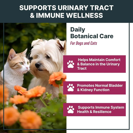 MAXBYDDY - MaxBuddy Natural UTI Treatment Support 2 Fl.Oz. - The Red Vitamin MX - Salud De Tracto Urinario Para Perros - {{ shop.shopifyCountryName }}