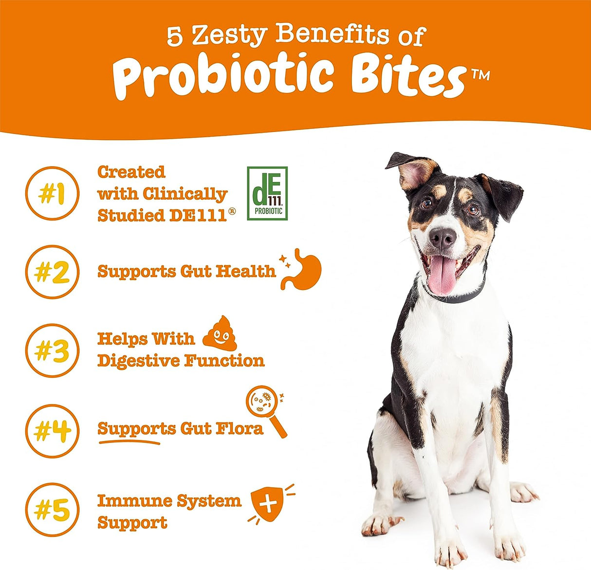 Zesty Paws Probiotics for Dogs Chicken Flavor 90 Masticables