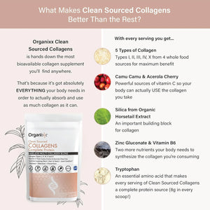 ORGANIXX - Organixx Collagen Peptides Powder 30 Servicios 255Gr. - The Red Vitamin MX - Suplementos Alimenticios - {{ shop.shopifyCountryName }}