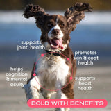 NATIVE PET - Native Pet Salmon Oil for Dogs & Cats 8 Fl.Oz. - The Red Vitamin MX - Aceite De Pescado Para Perros - {{ shop.shopifyCountryName }}