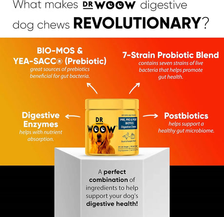 DR WOOW - DR WOOW Probiotics for Dogs 90 Masticables - The Red Vitamin MX - Probióticos Para Perros - {{ shop.shopifyCountryName }}