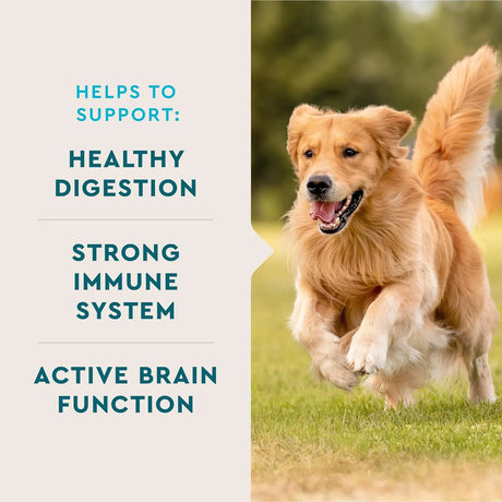 VETIQ - VetIQ Multivitamin Supplement for Dogs Hickory Smoke Flavored 60 Masticables - The Red Vitamin MX - Multivitamínicos Para Perros - {{ shop.shopifyCountryName }}