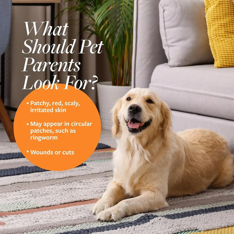 VETERINARY FORMULA - Veterinary Formula Clinical Care Antiseptic and Antifungal Medicated Shampoo for Dogs & Cats 16 Fl.Oz. - The Red Vitamin MX - Remedios Para La Picazón De Perros - {{ shop.shopifyCountryName }}