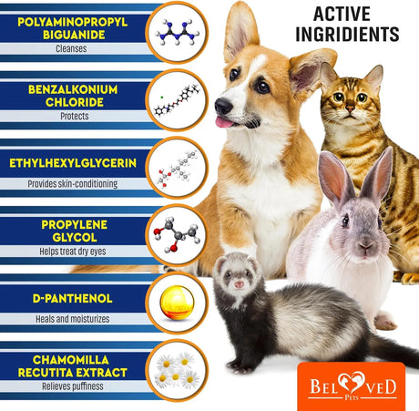 BELOVED PETS - Beloved Pets Cat & Dog Eye Wash Wipes & Tear Stain Remover 120 Toallitas - The Red Vitamin MX - Cuidado De Los Ojos De Los Perros - {{ shop.shopifyCountryName }}