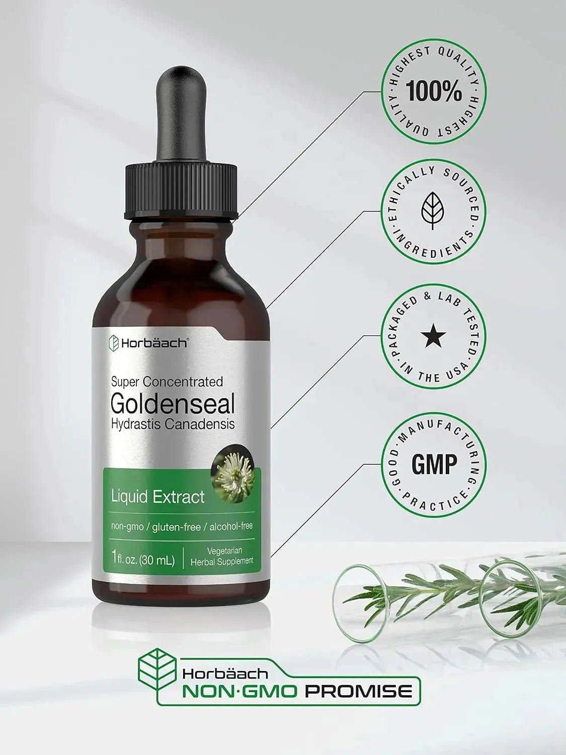 HORBAACH - Horbaach Goldenseal Root Extract Liquid 1 Fl.Oz. - The Red Vitamin MX - Suplementos Alimenticios - {{ shop.shopifyCountryName }}