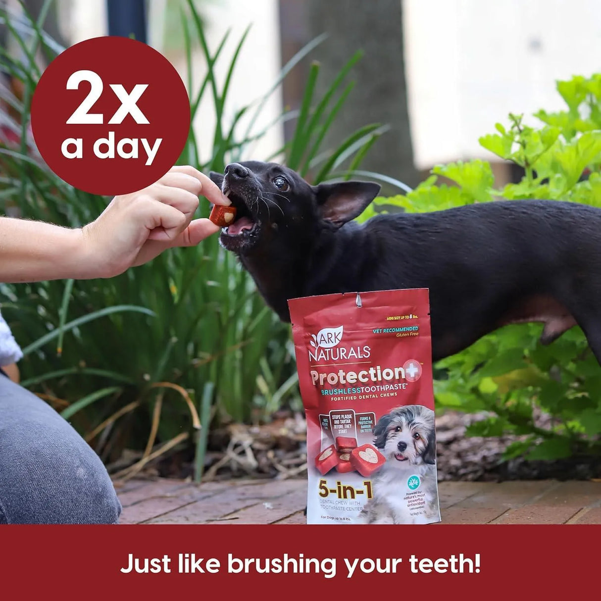 ARK NATURALS - ARK NATURALS Protection+ Brushless Toothpaste Dog Dental Chews for Mini Breeds 113Gr 2 Pack - The Red Vitamin MX - Cuidado Dental Para Perros - {{ shop.shopifyCountryName }}